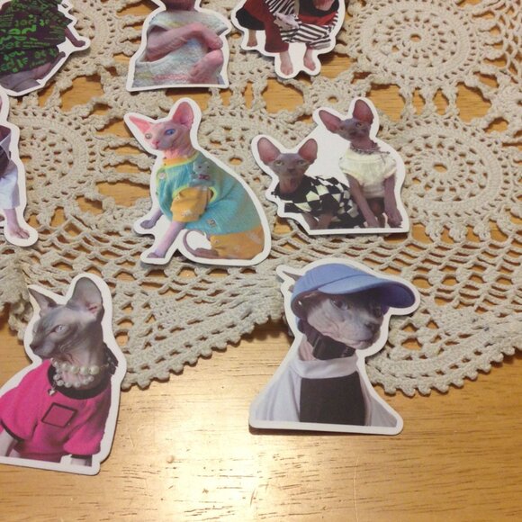 Sphynx Cats Stickers, funny, quirky, silly, for computer, crafts, lockers - Picture 5 of 7